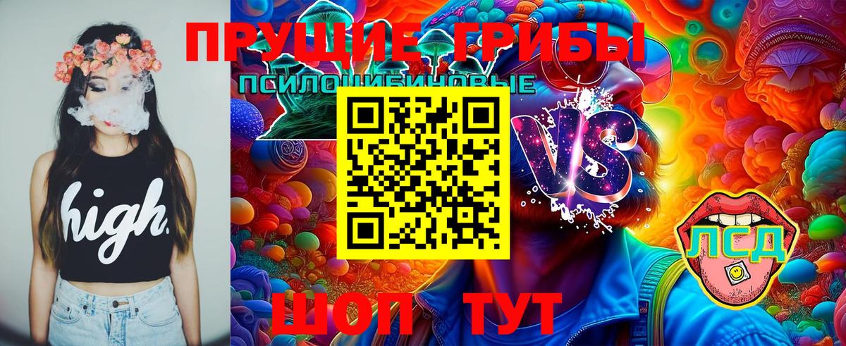 Псилоцибиновые грибы GOLDEN TEACHER Рославль
