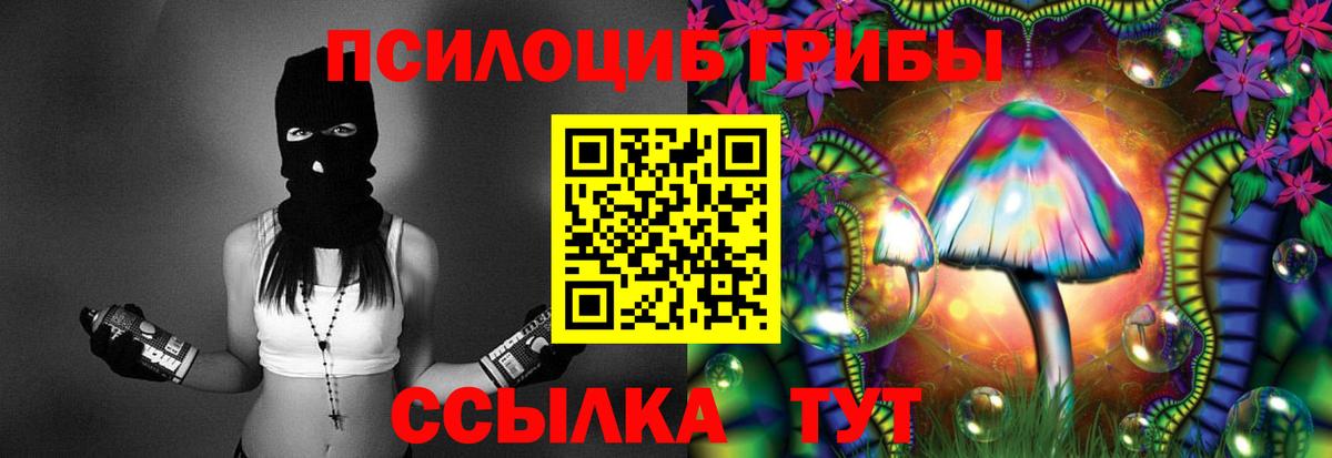 Псилоцибиновые грибы Psilocybine cubensis  Галлюциногенные грибы GOLDEN TEACHER  Рославль  Вход с VPN 